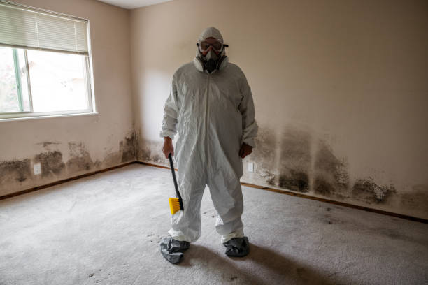 Best Residential Mold Removal  in Lantana, FL